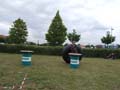 DSCF0779